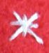 An embroidered silver star