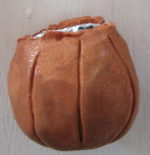fimo clay pumpkin