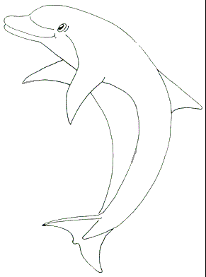 Dolphin coloring model for glass painting