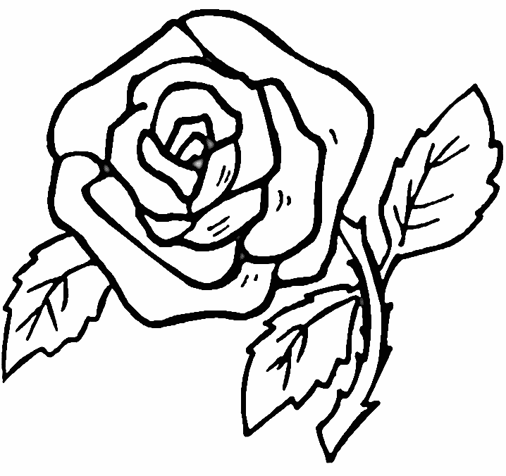 Rose coloring model for glass painting